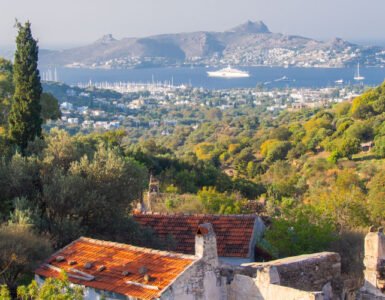 A panoramic view of Yalıkavak, seen from an abandoned hillside village, featuring lush greenery, old stone structures, and the marina in the distance.