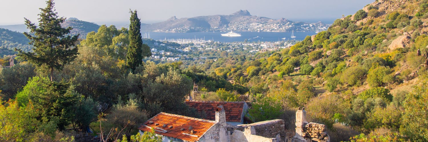 A panoramic view of Yalıkavak, seen from an abandoned hillside village, featuring lush greenery, old stone structures, and the marina in the distance.