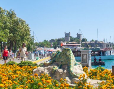 Pedestrian way with summer flowers and the Bodrum Castle