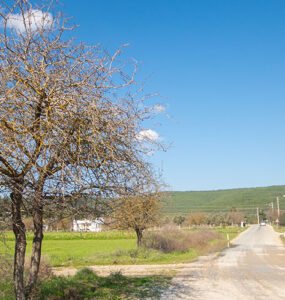 A road at the countryside of Bodrum