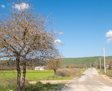A road at the countryside of Bodrum