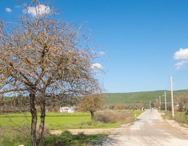A road at the countryside of Bodrum