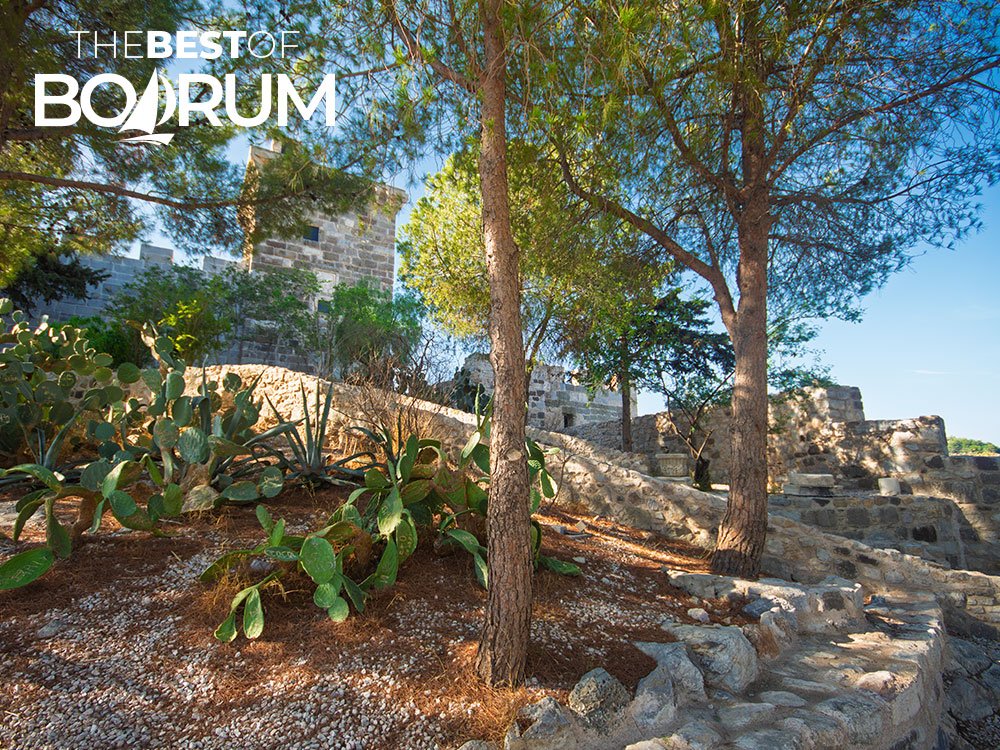 View of Bodrum Castle’s upper courtyard surrounded by pine trees and cactus plants, a must-see landmark for visitors exploring Bodrum’s history.