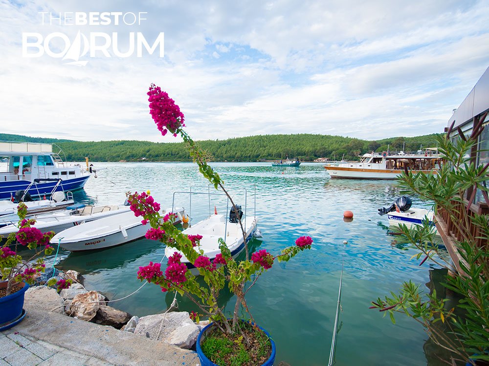 A calm view of the boats and green hills along the Güvercinlik coast.